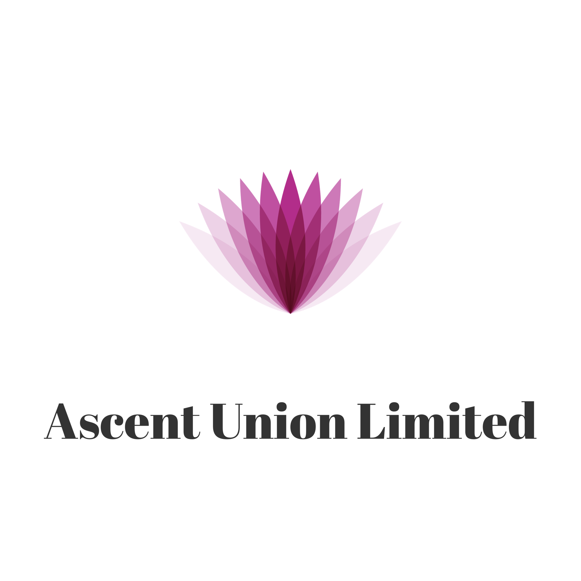 Ascent Union Limited